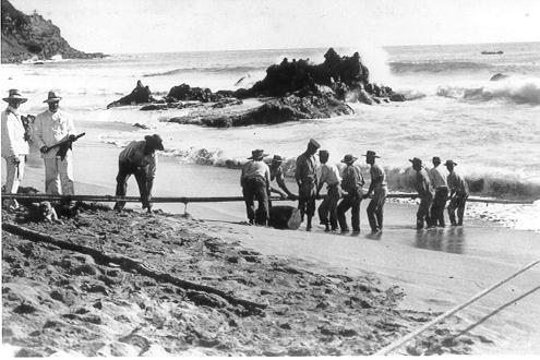 Laying cable at Norfolk Island c1902